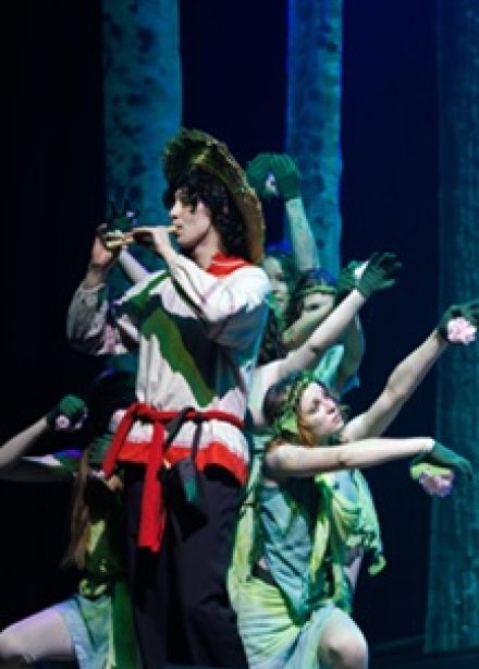 Лесная песня драма‑феерия в переводе М. Исаковского